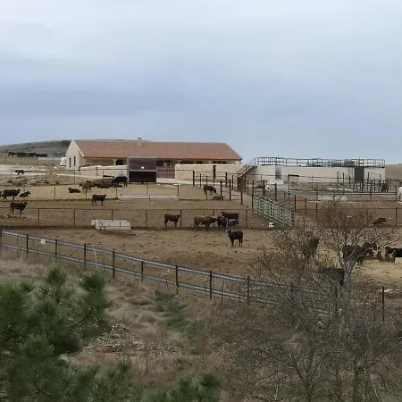El Rincon De La Higuera Hébergement de vacances Espirdo