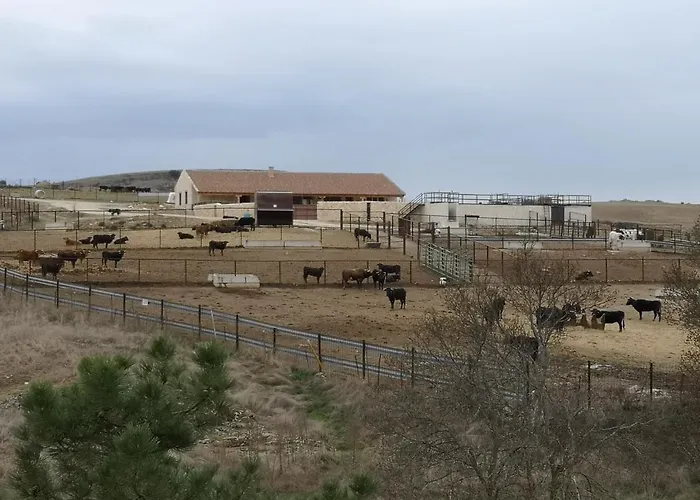 El Rincon De La Higuera Feriehus Espirdo