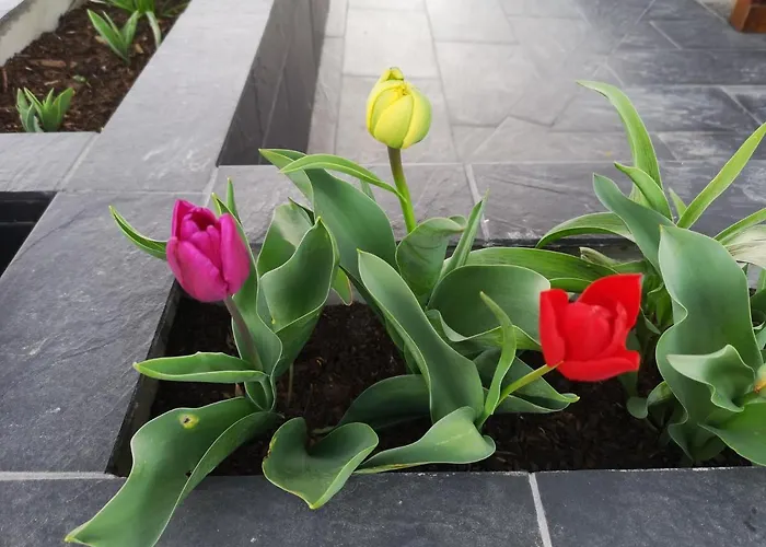 El Rincon De La Higuera Dom wakacyjny